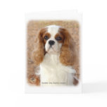 Cavalier King Charles Spaniel 9L005D-08 cards