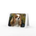 Cavalier King Charles Spaniel 9R026D-154 cards
