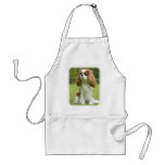 Cavalier King Charles Spaniel aprons