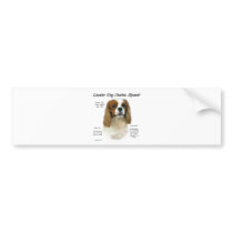 Cavalier King Charles Spaniel (Blenheim) History
