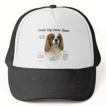 Cavalier King Charles Spaniel (Blenheim) History