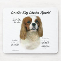 Cavalier King Charles Spaniel (Blenheim) History