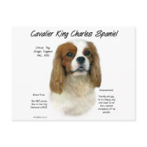 Cavalier King Charles Spaniel (Blenheim) History