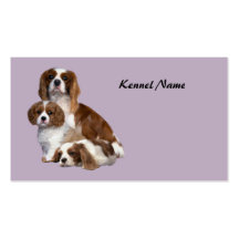 Cavalier King Charles Spaniel Breeder Business Car Business Card Templates