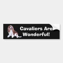 Cavalier King Charles Spaniel Bumper Sticker
