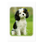 Cavalier King Charles Spaniel business cards