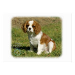 Cavalier King Charles Spaniel business cards