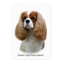 Cavalier King Charles Spaniel business cards