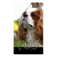 Cavalier King Charles Spaniel Business Cards