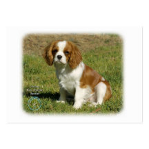 Cavalier King Charles Spaniel Business Cards