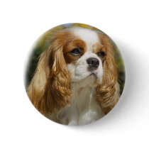 Cavalier King Charles Spaniel Button