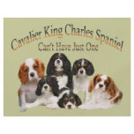 Cavalier King Charles Spaniel Can't Have Just One flyers