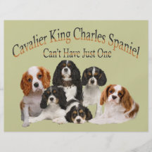 Cavalier King Charles Spaniel Can't Have Just One Personalized Flyer