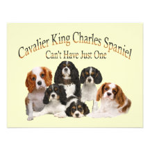 Cavalier King Charles Spaniel Can't Have Just One Personalized Announcements
