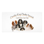 Cavalier King Charles Spaniel Can't Have Just One photo cards