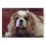 Cavalier King Charles Spaniel Card