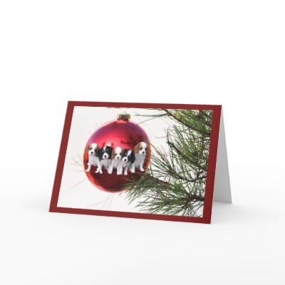 Cavalier King Charles Spaniel Christmas Card Ball