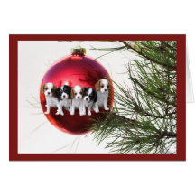 Cavalier King Charles Spaniel Christmas Card Ball