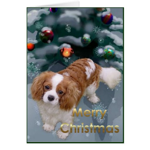 Cavalier King Charles Spaniel Christmas Gifts Greeting Cards Cavalier King Charles Spaniel Christmas Gifts Greeting Cards