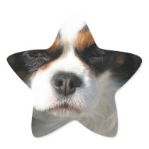 Cavalier King Charles Spaniel Dog Stickers