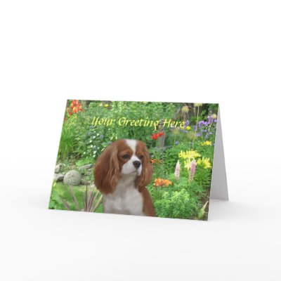 Cavalier King Charles Spaniel Greeting Card