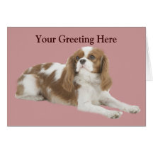 Cavalier King Charles Spaniel Greeting Card
