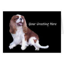 Cavalier King Charles Spaniel Greeting Card