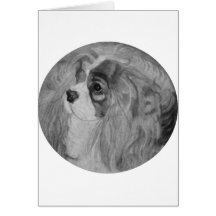 Cavalier King Charles Spaniel Greeting Card