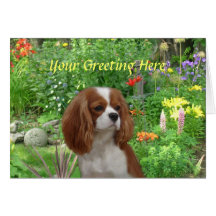 Cavalier King Charles Spaniel Greeting Card