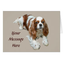 Cavalier King Charles Spaniel Greeting Card