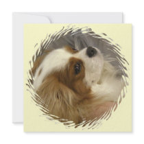 Cavalier King Charles Spaniel Invitation