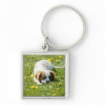 Cavalier King Charles Spaniel Key Chain