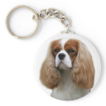 Cavalier King Charles Spaniel keychains