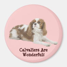 Cavalier King Charles Spaniel Magnet