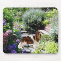 Cavalier King Charles Spaniel Mousepad