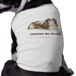Cavalier King Charles Spaniel Pet Clothing pet clothing