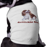 Cavalier King Charles Spaniel Pet Clothing pet clothing