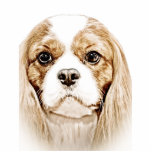 CAVALIER KING CHARLES SPANIEL photo sculptures