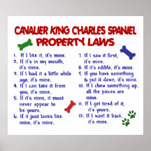 CAVALIER KING CHARLES SPANIEL PL2 POSTERS