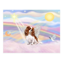 Cavalier King Charles Spaniel Post Cards