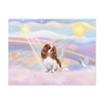 Cavalier King Charles Spaniel Post Cards