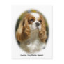 Cavalier King Charles Spaniel Postcard