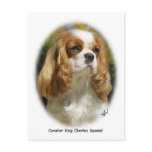 Cavalier King Charles Spaniel postcards