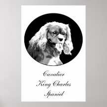 Cavalier king charles spaniel poster