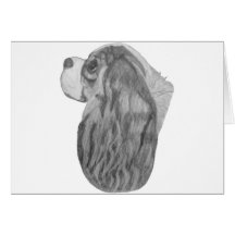 Cavalier King Charles Spaniel Profile Cards
