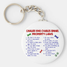 CAVALIER KING CHARLES SPANIEL Property Laws 2 Keychains