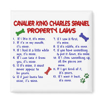 CAVALIER KING CHARLES SPANIEL Property Laws 2