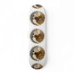 Cavalier King Charles Spaniel Skateboard