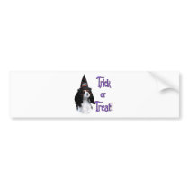Cavalier King Charles Spaniel Trick
