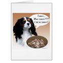 Cavalier King Charles Spaniel Turkey cards